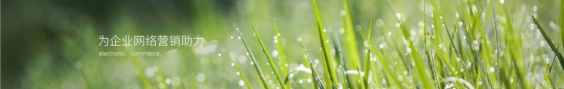 Զ껼ɷݿƼ޹˾
